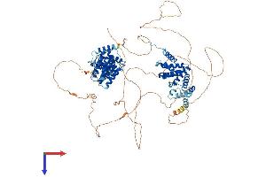 CWC22 Protein (AA 1-908) (His tag)