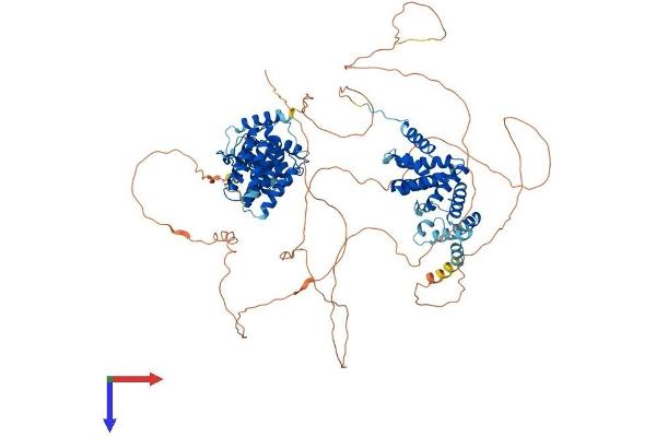 CWC22 Protein (AA 1-908) (His tag)