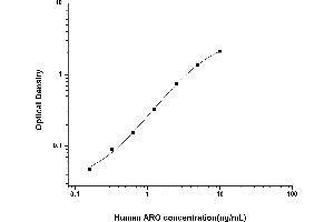 ELISA image for Cytochrome P450, Family 19, Subfamily A, Polypeptide 1 (CYP19A1) ELISA Kit (ABIN6961967)