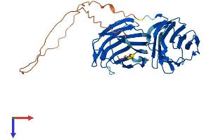 Galectin 9 Protein (AA 1-353) (His tag)