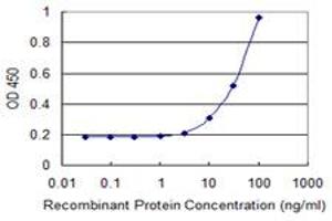 Detection limit for recombinant GST tagged HOXB9 is 3 ng/ml as a capture antibody. (HOXB9 Antikörper  (AA 65-163))