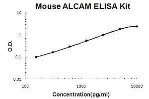 Mouse ALCAM PicoKine ELISA Kit standard curve