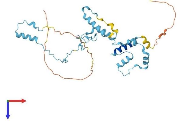 IFT46 Protein (AA 1-301) (His tag)