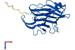 C16orf80 Protein (AA 1-193) (His tag)