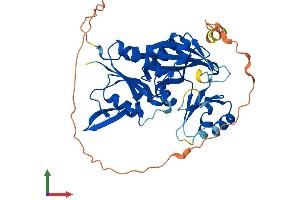 Protein Structure (PS) image for Ribosomal Modification Protein RimK-Like Family Member A (RIMKLA) (AA 1-391) protein (His tag) (ABIN7551422)