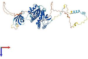 EDC3 Protein (AA 1-508) (His tag)