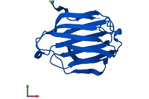 AlphaFold protein structure predicition of Human Recombinant LGALS14 Protein, UniprotID Q8TCE9