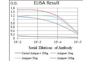 Image no. 1 for anti-E2F Transcription Factor 1 (E2F1) antibody (ABIN1491636) (E2F1 Antikörper)
