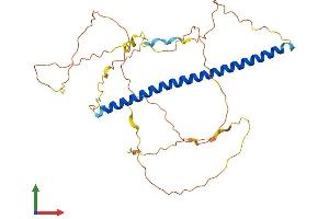 Protein Structure (PS) image for FBJ Murine Osteosarcoma Viral Oncogene Homolog B (FOSB) (AA 1-338) protein (His tag) (ABIN7562858)