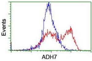 HEK293T cells transfected with either RC224304 overexpress plasmid (Red) or empty vector control plasmid (Blue) were immunostained by anti-ADH7 antibody (ABIN2455873), and then analyzed by flow cytometry. (ADH7 Antikörper)