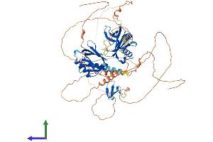 Protein Structure (PS) image for Amyloid beta (A4) Precursor Protein-Binding, Family B, Member 1 (Fe65) (APBB1) (AA 1-710) protein (His tag) (ABIN7565148)