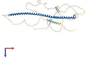 Syntaphilin Protein (SNPH) (AA 1-495) (His tag)