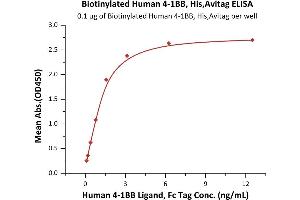 Immobilized Biotinylated Human 4-1BB, His,Avitag™(MALS verified) (ABIN6972936) at 1 μg/mL (100 μL/well) on Recombinant Streptavidin  precoated (0.