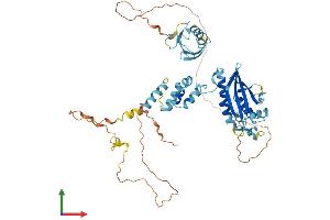Protein Structure (PS) image for F-Box Protein 7 (FBXO7) (AA 1-522) protein (His tag) (ABIN7553936)