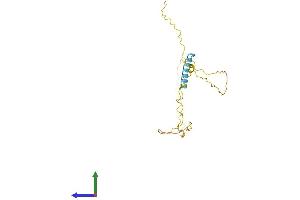Protein Structure (PS) image for Transcription Elongation Factor A (SII)-Like 6 (TCEAL6) (AA 1-200) protein (His tag) (ABIN7544200)