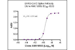 SARS-CoV-2 Spike Antibody (rAb) (AM018553) tested by ELISA. (Rekombinanter SARS-CoV-2 Spike Antikörper)