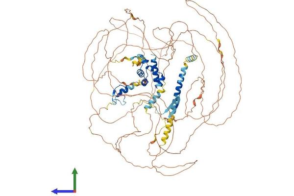PHC3 Protein (AA 1-981) (His tag)