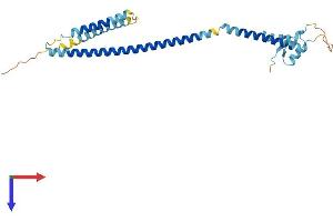 CENPK Protein (AA 1-271) (His tag)