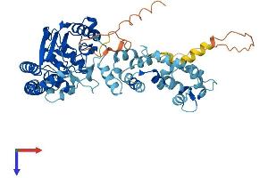 LPCAT2 Protein (AA 1-544) (His tag)