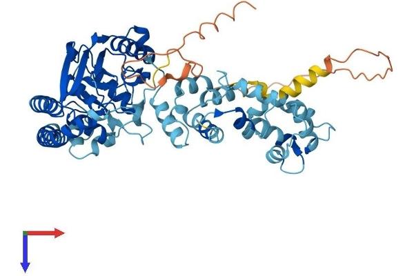 LPCAT2 Protein (AA 1-544) (His tag)