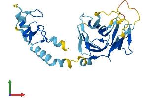AlphaFold protein structure predicition of Human Recombinant RFPL4B Protein, UniprotID Q6ZWI9