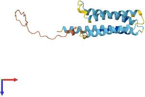 CMTM7 Protein (AA 1-175) (His tag)