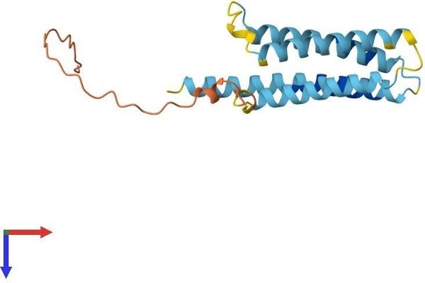 CMTM7 Protein (AA 1-175) (His tag)