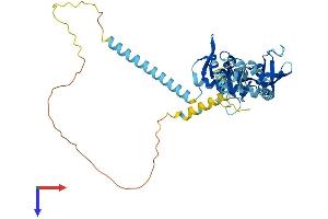 KIN Protein (AA 1-391) (His tag)