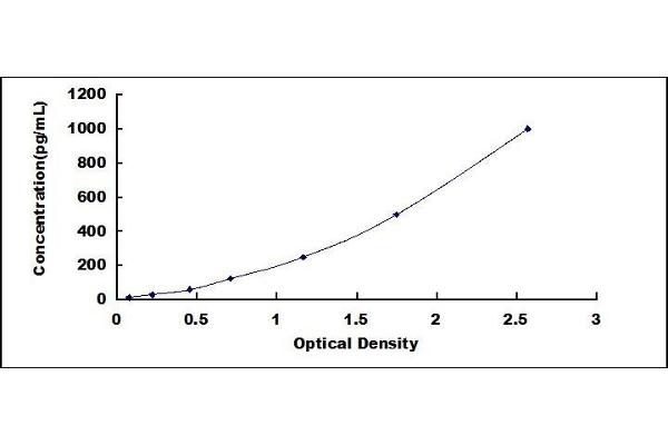 GZMB ELISA Kit