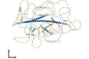 AlphaFold protein structure predicition of Mouse Recombinant Cep126 Protein, UniprotID Q0VBV7 (CEP126 Protein (AA 1-1103) (His tag))