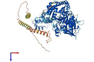 MGAT5B Protein (AA 1-792) (His tag)