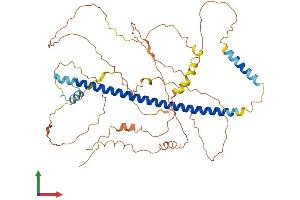 Protein Structure (PS) image for CAMP Responsive Element Binding Protein 3-Like 2 (CREB3L2) (AA 1-520) protein (His tag) (ABIN7553541)