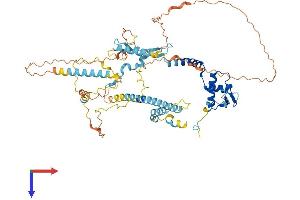 NCAPH2 Protein (AA 1-605) (His tag)