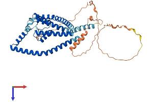 KCNK9 Protein (AA 1-402) (His tag)