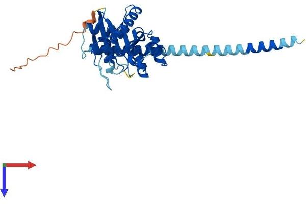 GIMAP5 Protein (AA 1-308) (His tag)