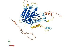 Protein Structure (PS) image for Elongator Acetyltransferase Complex Subunit 4 (ELP4) (AA 1-422) protein (His tag) (ABIN7561422)