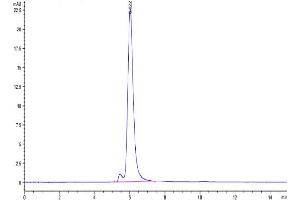 Size-exclusion chromatography-High Pressure Liquid Chromatography (SEC-HPLC) image for CUB Domain Containing Protein 1 (CDCP1) (AA 25-667) protein (His tag) (ABIN7274296)
