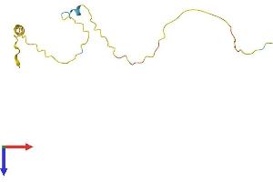 C20orf149 Protein (AA 1-114) (His tag)