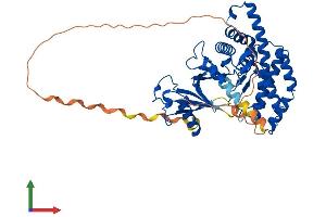 AlphaFold protein structure predicition of Human Recombinant CHKA Protein, UniprotID P35790 (Choline Kinase alpha Protein (CHKA) (AA 1-457) (His tag))