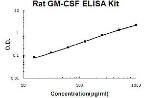 Rat GM-CSF Accusignal ELISA Kit Rat GM-CSF AccuSignal ELISA Kit standard curve.