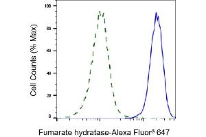 Validation of Fumarate hydratase knockdown using flow cytometry. (FH Antikörper)