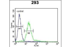 P6 Antibody (Center) (ABIN653148 and ABIN2842720) flow cytometric analysis of 293 cells (right histogram) coared to a negative control cell (left histogram). (MPP6 Antikörper  (AA 360-388))