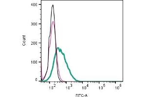 Cell surface detection of CD81 by direct flow cytometry in live intact human Raji lymphoblast B-cell line: + Rabbit IgG Isotype Control-FITC (ABIN7582044). (CD81 Antikörper  (Extracellular) (FITC))