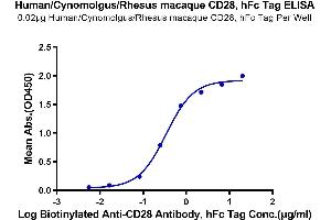 Immobilized Human/Cynomolgus/Rhesus macaque CD28, hFc Tag at 0.