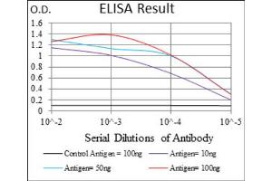 Red: Control Antigen (100ng) ; Purple: Antigen (10ng) ; Green: Antigen (50ng) ; Blue: Antigen (100ng). (IL3RA Antikörper  (AA 200-305))