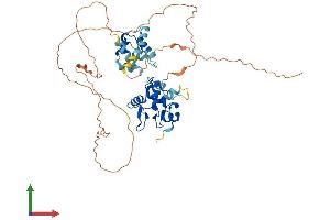 Protein Structure (PS) image for V-Ets erythroblastosis Virus E26 Oncogene Homolog 1 (Avian) (ETS1) (AA 1-441) protein (His tag) (ABIN7547429)