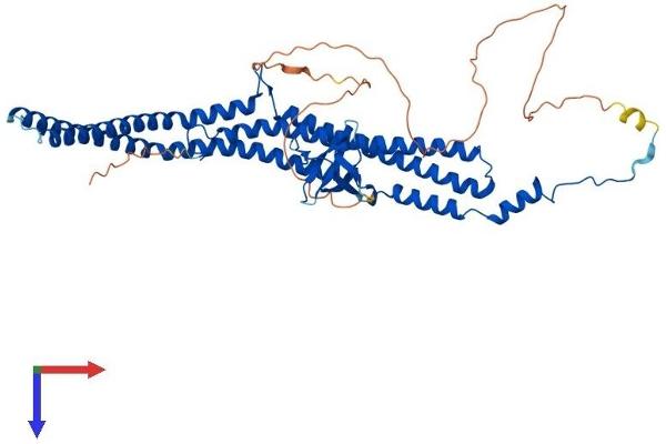 PACSIN2 Protein (AA 1-486) (His tag)