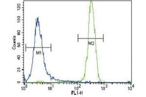 Flow Cytometry (FACS) image for anti-Colony Stimulating Factor 1 Receptor (CSF1R) (AA 940-971) antibody (ABIN3030557)