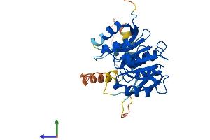 AlphaFold protein structure predicition of Human Recombinant METTL21EP Protein, UniprotID A6NDL7