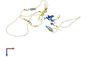 CBX6 Protein (AA 1-412) (His tag)